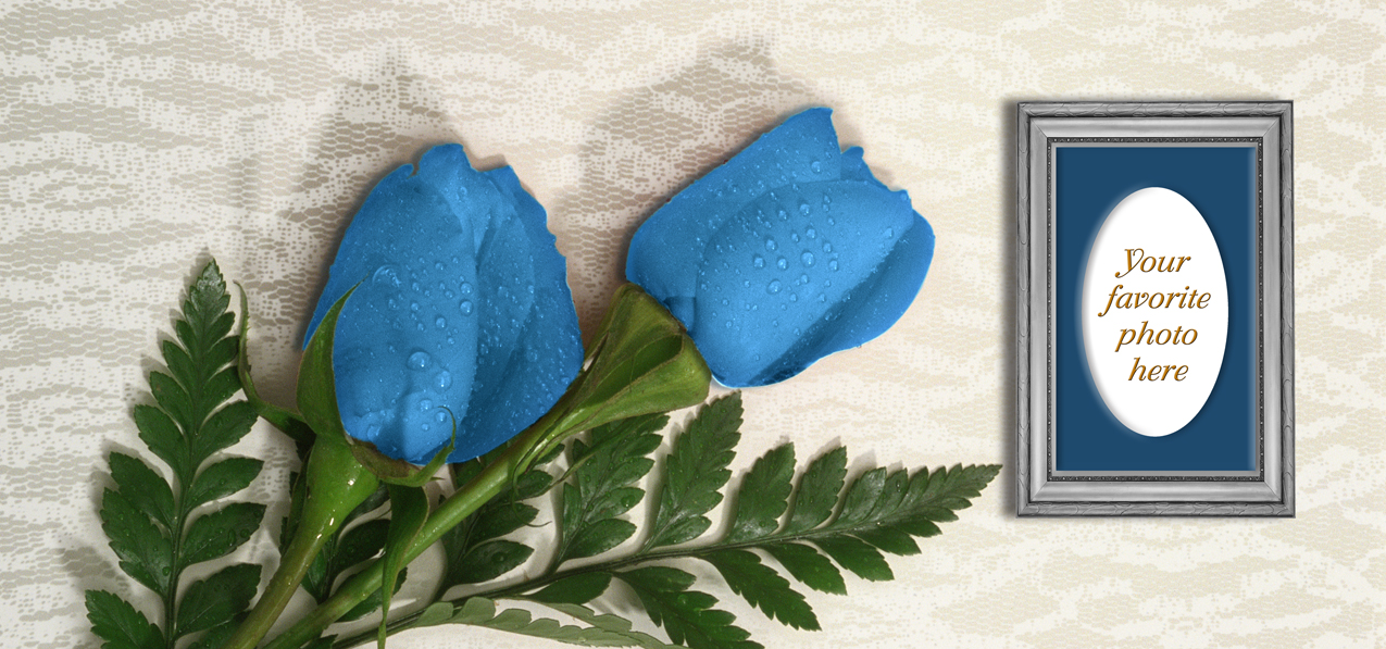 2 Roses Blue (Silver Frame)